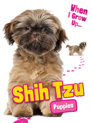 cover image of Shih Tzu Puppies